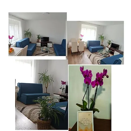 Mihajlovic Apartment